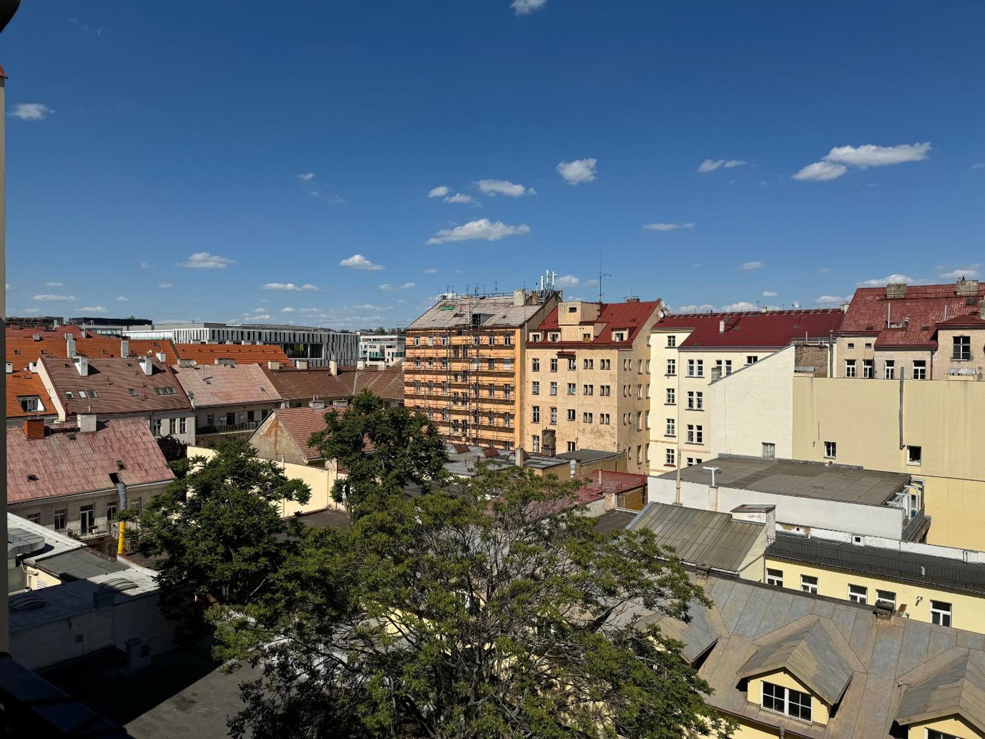 Vitkova Duplex With Terrace Near Florenc Apartament