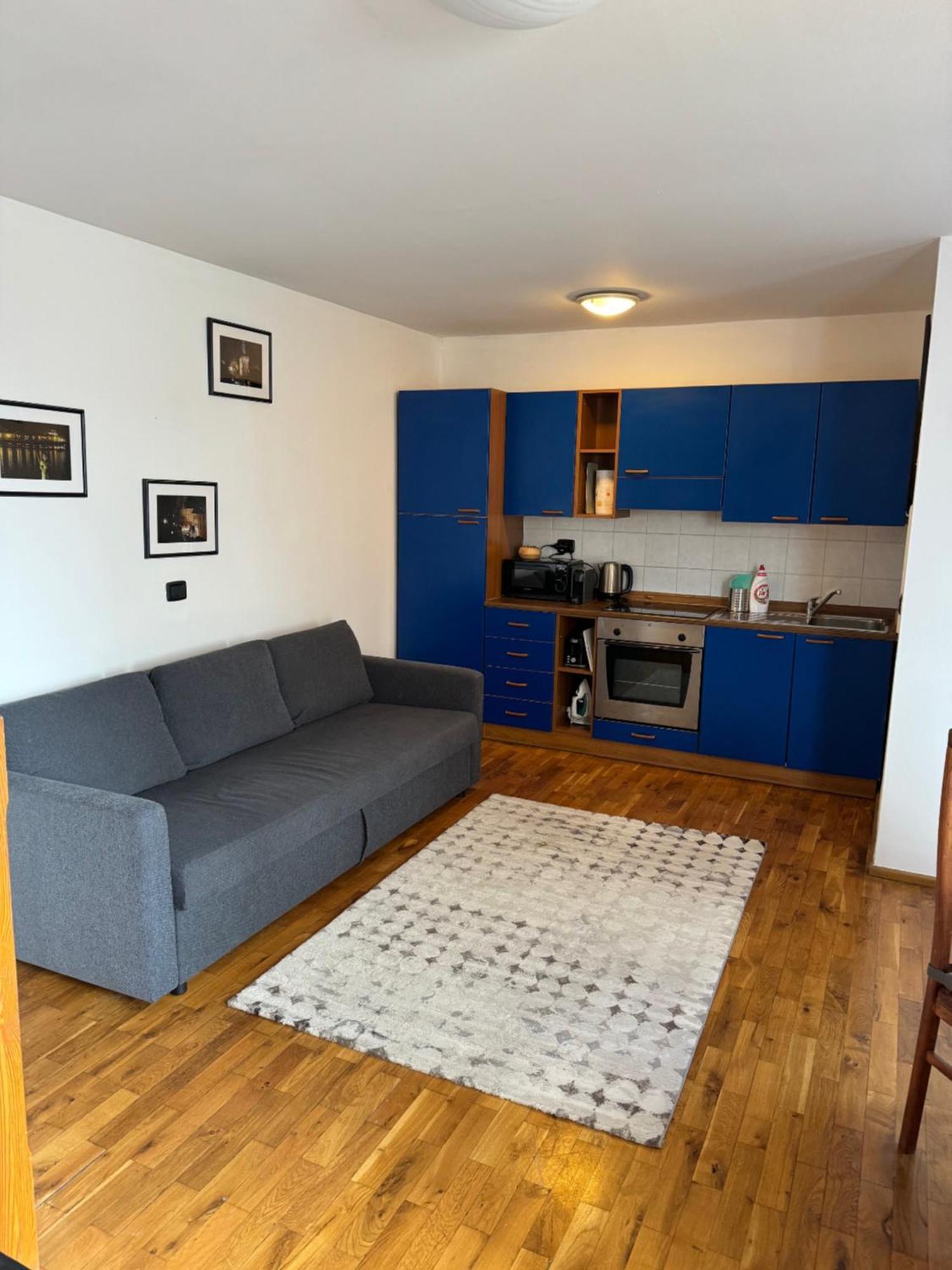 Vitkova Duplex With Terrace Near Florenc Apartmán Prague